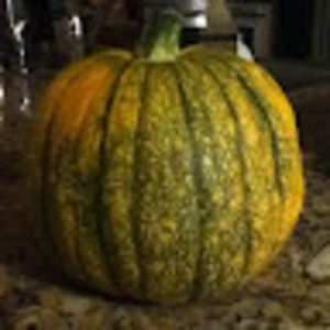 Meet your Posher, Liang-kai